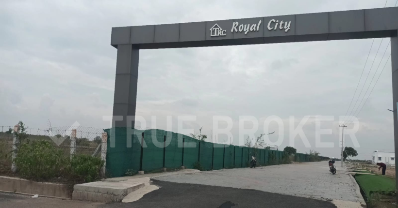 ROYAL CITY